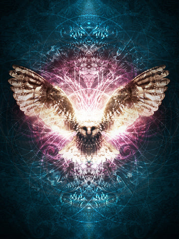 Harvester of Destiny / Fine Art Prints