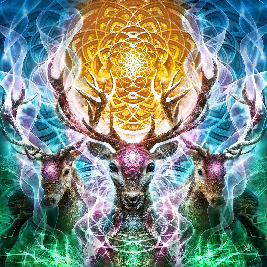 Keepers of the Sacred Medicine / Fine Art Prints